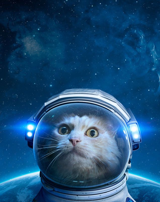My God, It's Full Of Cats! The Very Best Artwork Of Cats In 