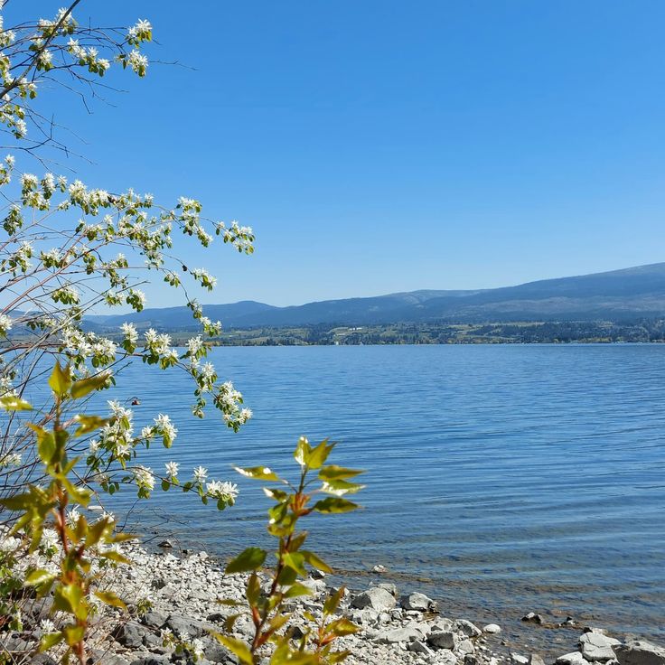view from Kalamoir Regional Park