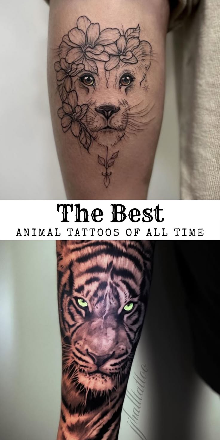 Celebrate the power, grace, and beauty of the animal kingdom