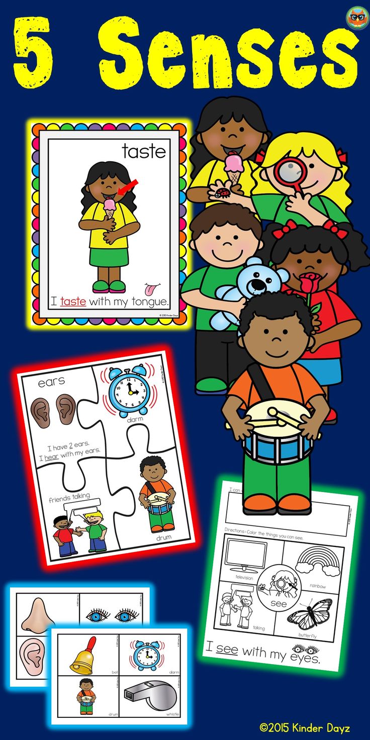 Easy to use 5 senses activities. Great for an introduction o