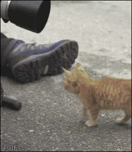 awww!! Way beyond cute!...