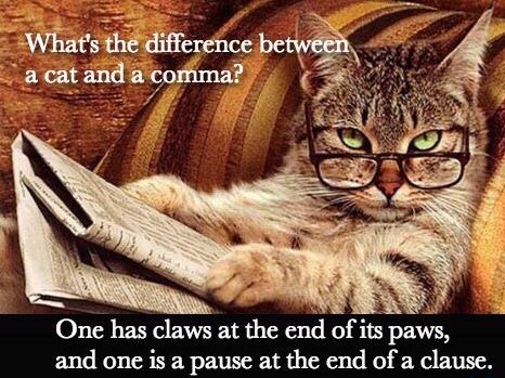 Funny difference between a paw and a clause