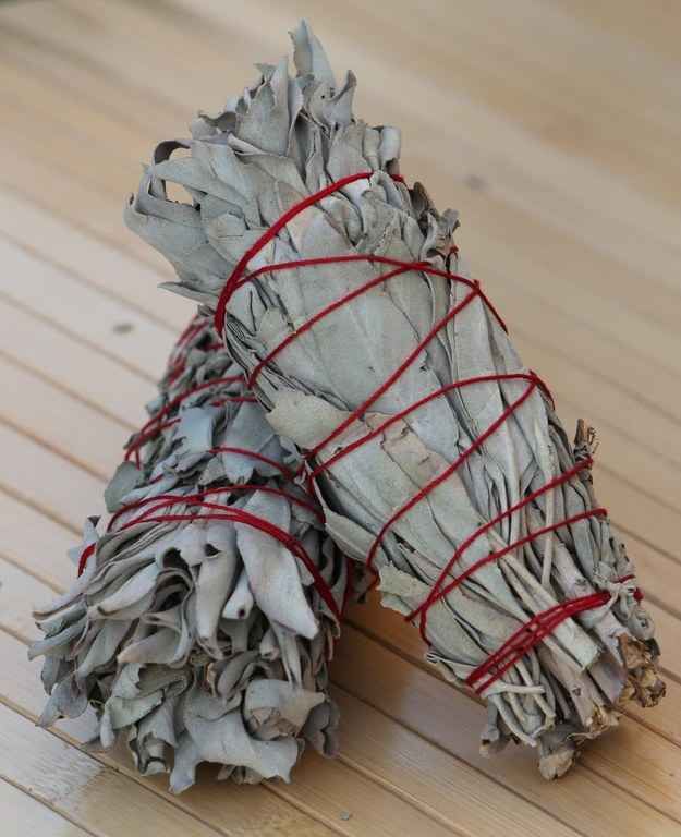 Adding sage to your campfire or fire pit keeps mosquitoes an
