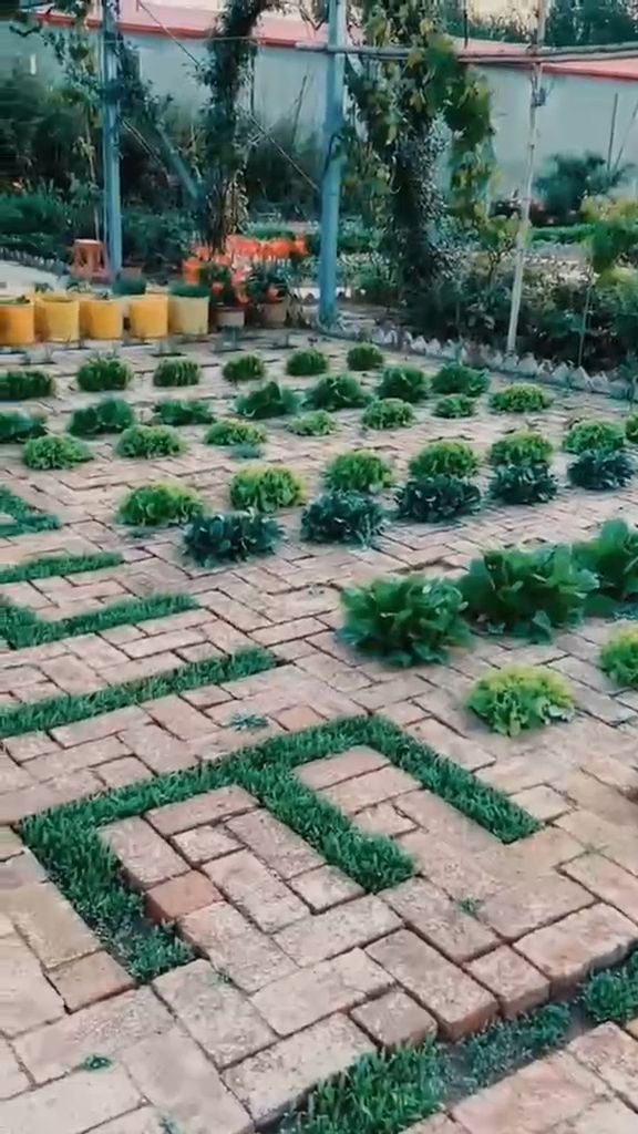 Unleash the potential of your garden with this super gardeni