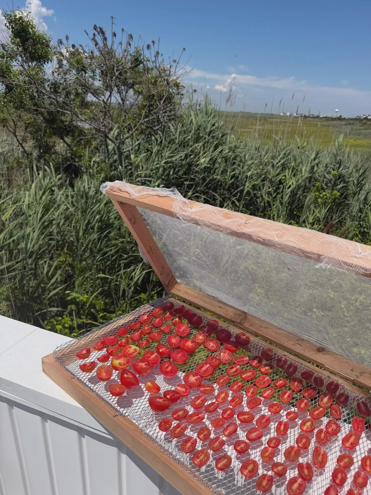 Handmade Sun Dried Tomato Tray - Wood Frame With Wire Mesh a