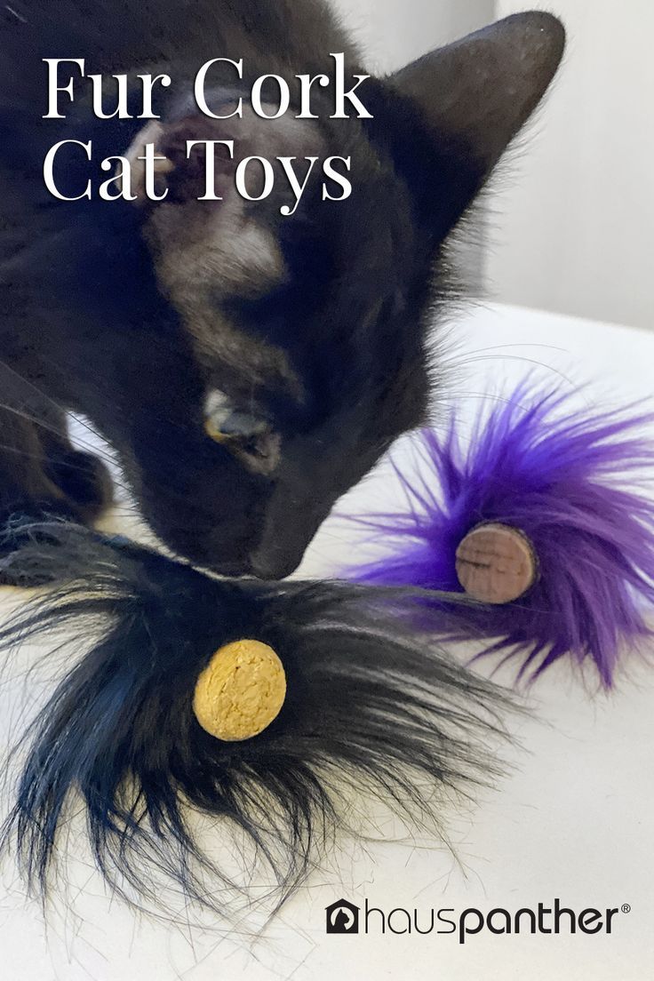 Stalk, hunt, grab & toss -- that's what cats will do with th
