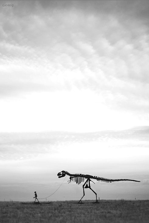 walking rex