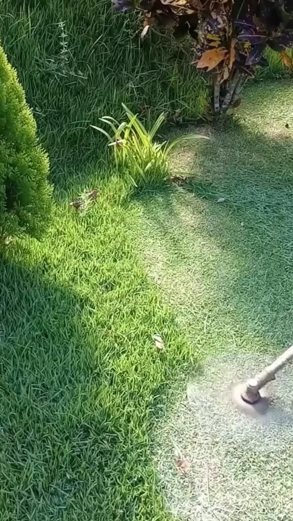 Effortless outdoor lawn maintenance with a 24V cordless gras