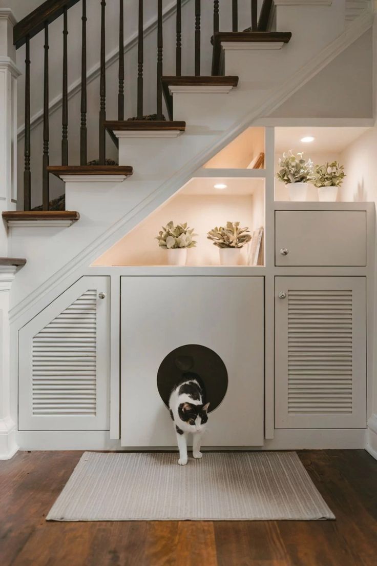 Cat Litter Box Ideas Hidden in Plain Sight
