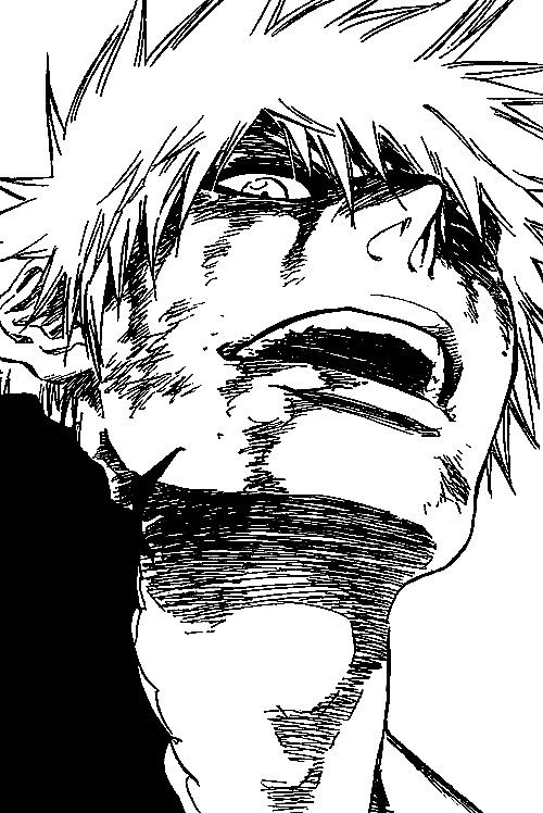 kurosaki ichigo