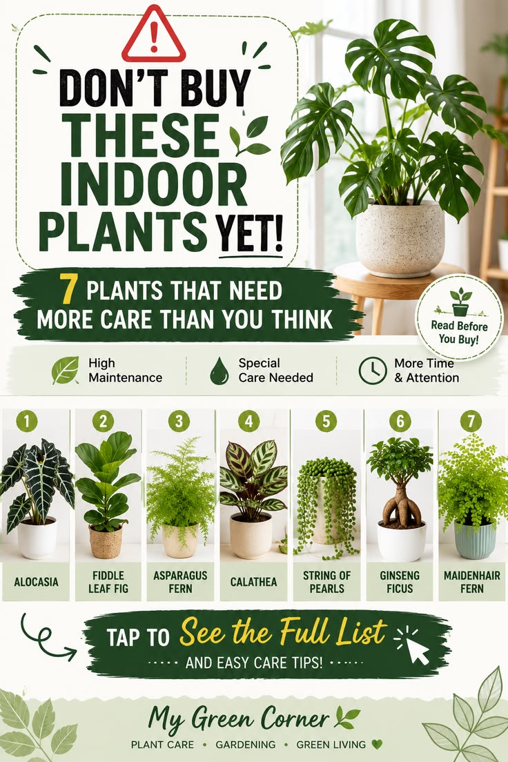 Thinking about buying a new houseplant? 🌿 Not every indoor p