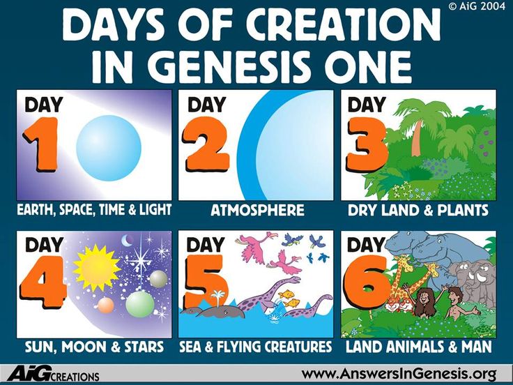 Day 1 sequence cards-| Creation Days 1 through 6 (Source: An