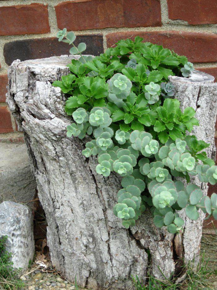 deko ideen selbermachen baumstumpf kreative gartenideen