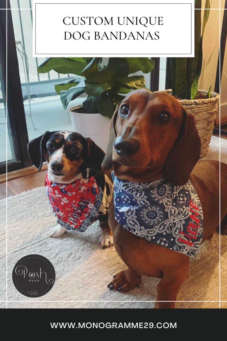 Being dressed your best just brings out the best in anyone! 