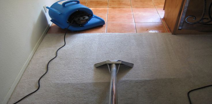 Welcome to the Magic Cleaning Services where we offer high-q