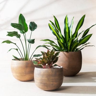 Elevate your space with the Eden Planter Set, a handcrafted 