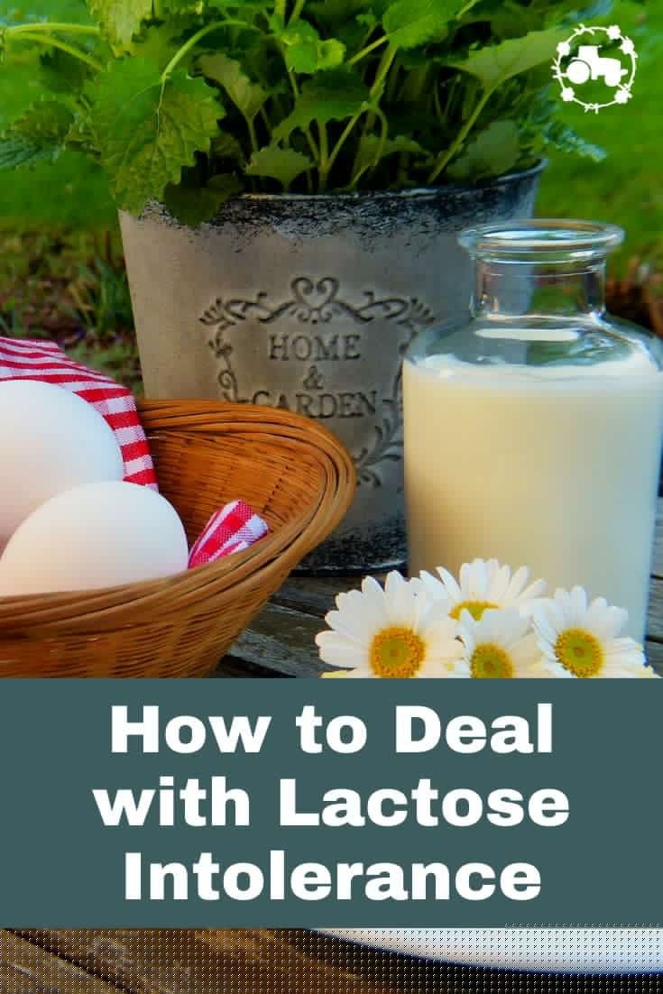 What causes difficulty digesting milk? What are some ways to