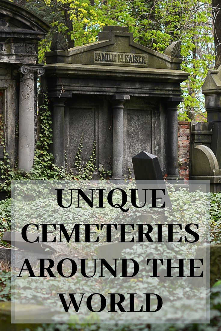 Are you looking for somewhere unique to visit on your travel