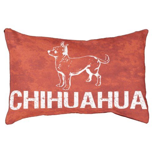 Chihuahua dog on red artistic pet bed