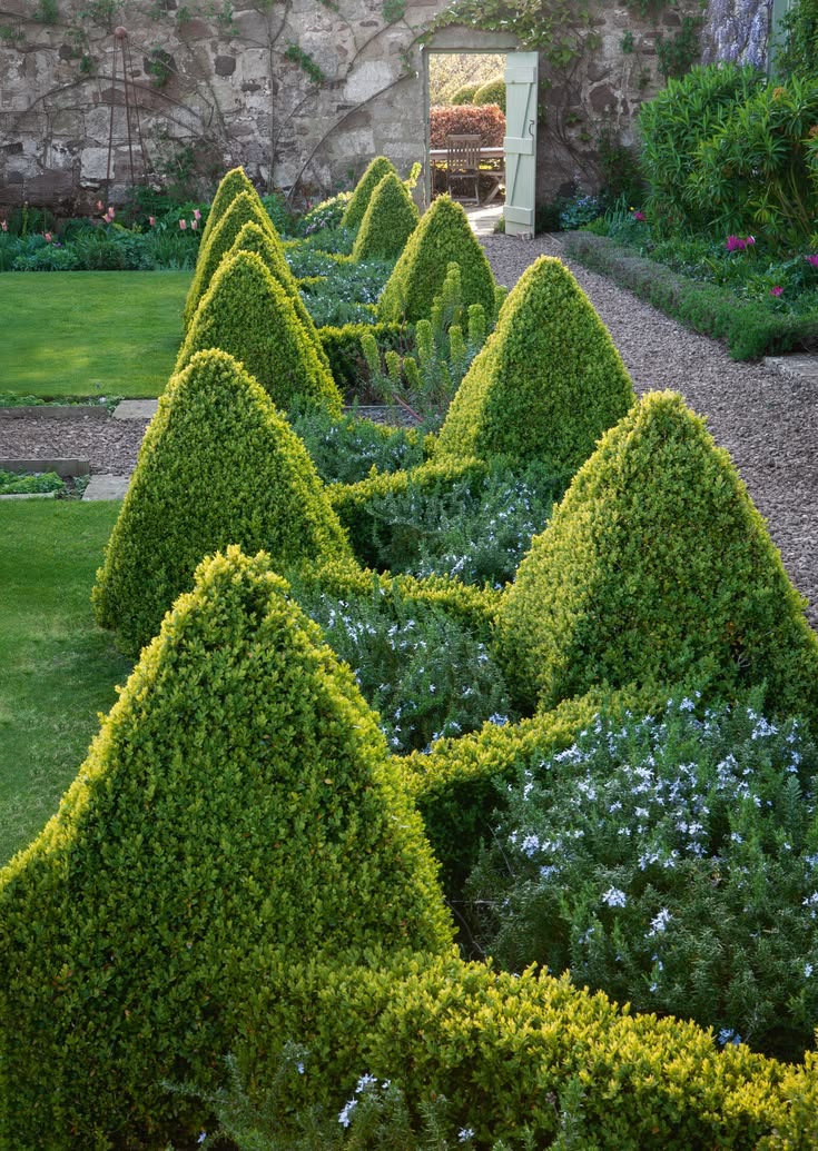 A quirky and colourful garden on the Scottish coast that com