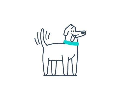 Happy Dogs – Ivan Mesaroš