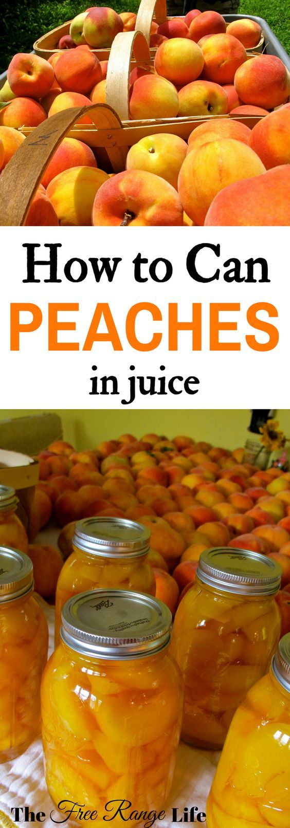 Preserve peaches at home! Learn how to can peaches in juice 