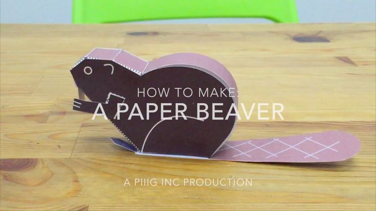 How to Make a Paper Beaver: a Piiig Inc Production