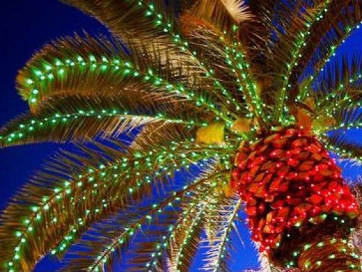 Do you want some great tropical Christmas decorations? Think