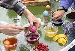 Make dyes from things found in nature