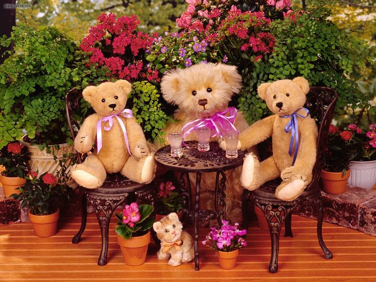 http://www.a1dehradunflowers.com/new-arrangements.html