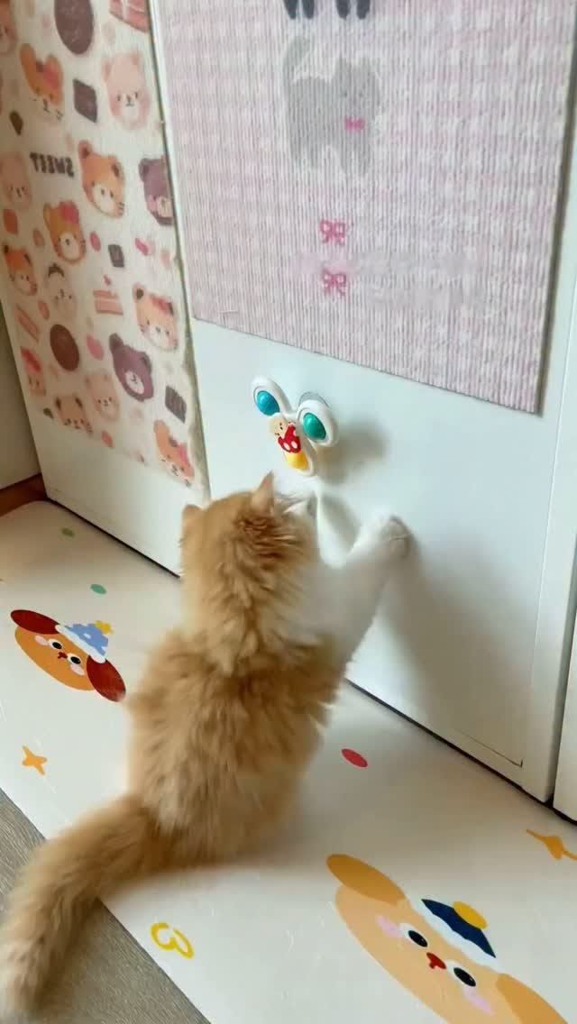 🌀 Cat suction cup spinner

Strong suction • 360° spin • Cats