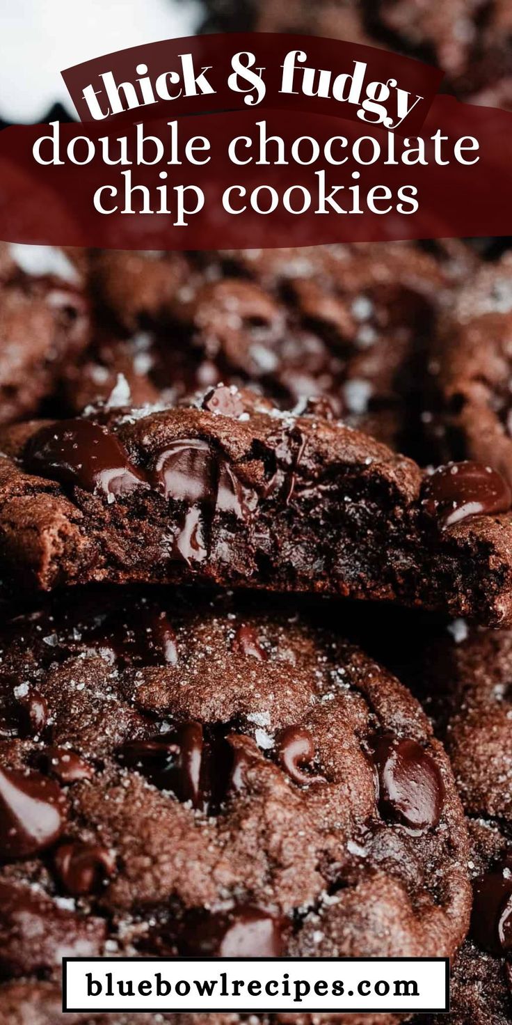 Double Chocolate Chip Cookies are a chocolate lover’s dream 