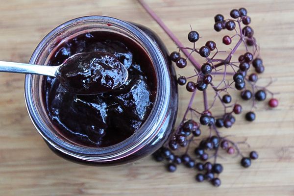 Elderberry Jelly Recipe for Canning