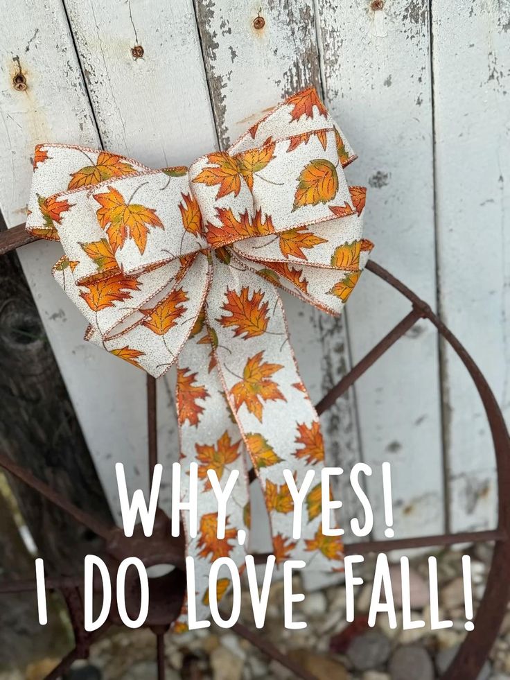 If you can dream it you can add a bow to it!