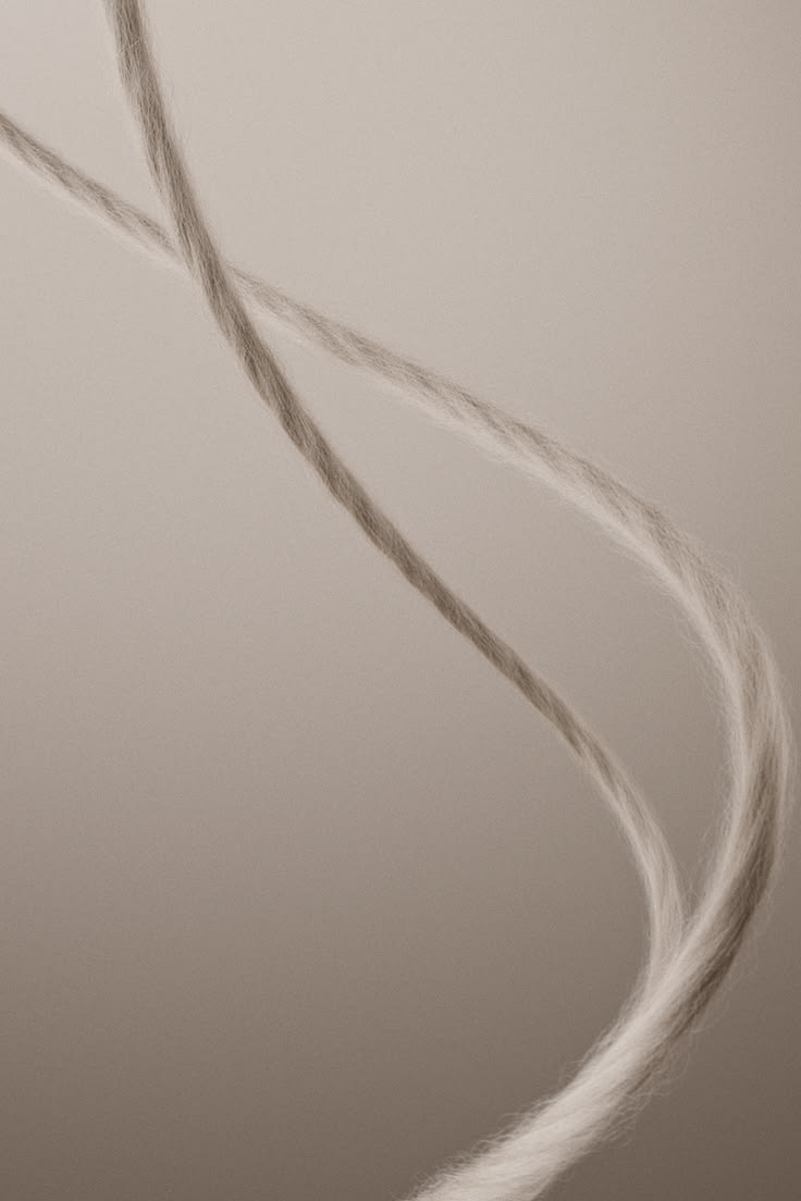 A story of skilled hands and enduring traditions, renewed ov