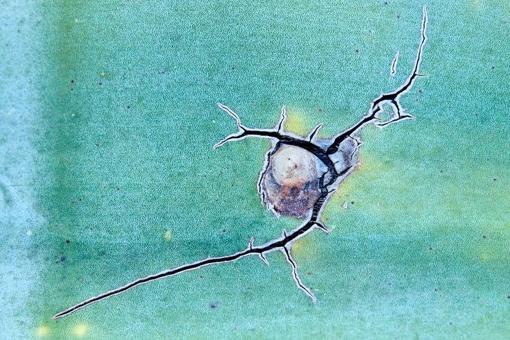 Formas, texturas y abstracciones - Javier Lafuente. Nature p