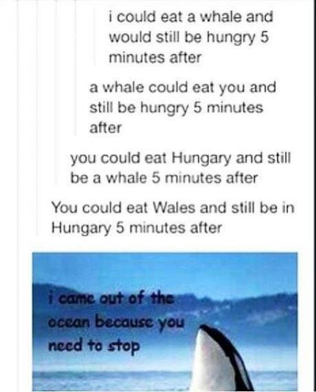 ahahahahaha why am I laughing so much