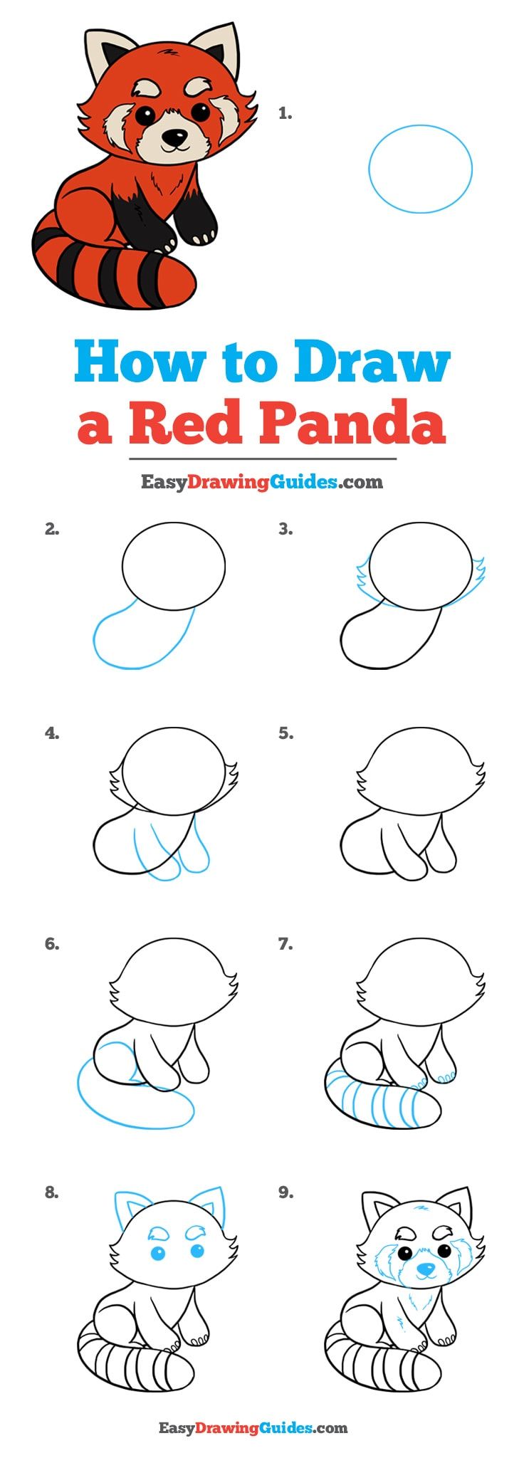 How to Draw Red Panda