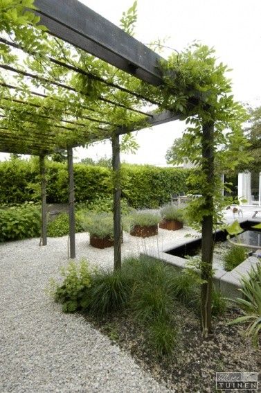 This looks nice with Wisteria, but a "living wall" with Ivy 