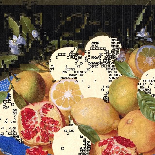 enigmatriz on Instagram: "still life, modified by ascii elem