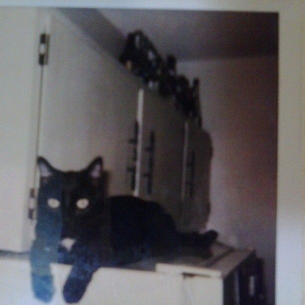 I loved Nuisance with my whole heart. Till we meet again Nui