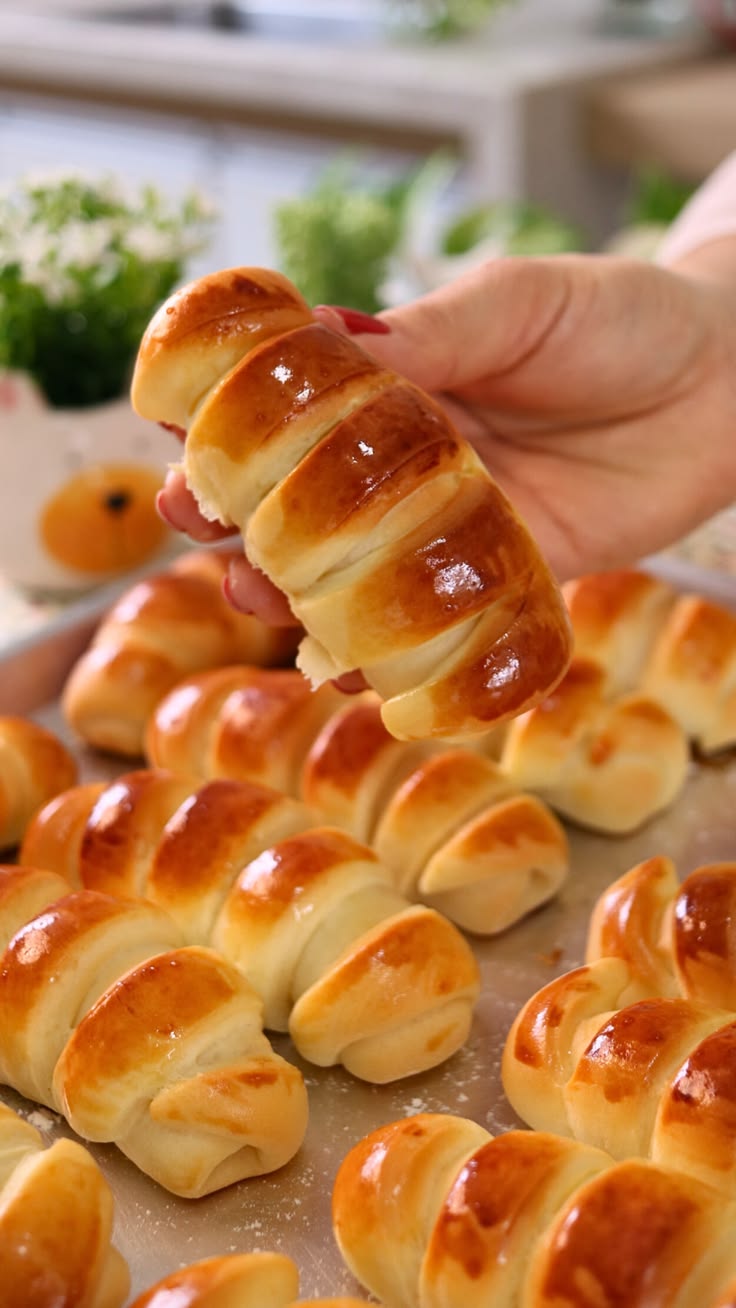 Mini Pão Brioche Caseiro | Dika da Naka