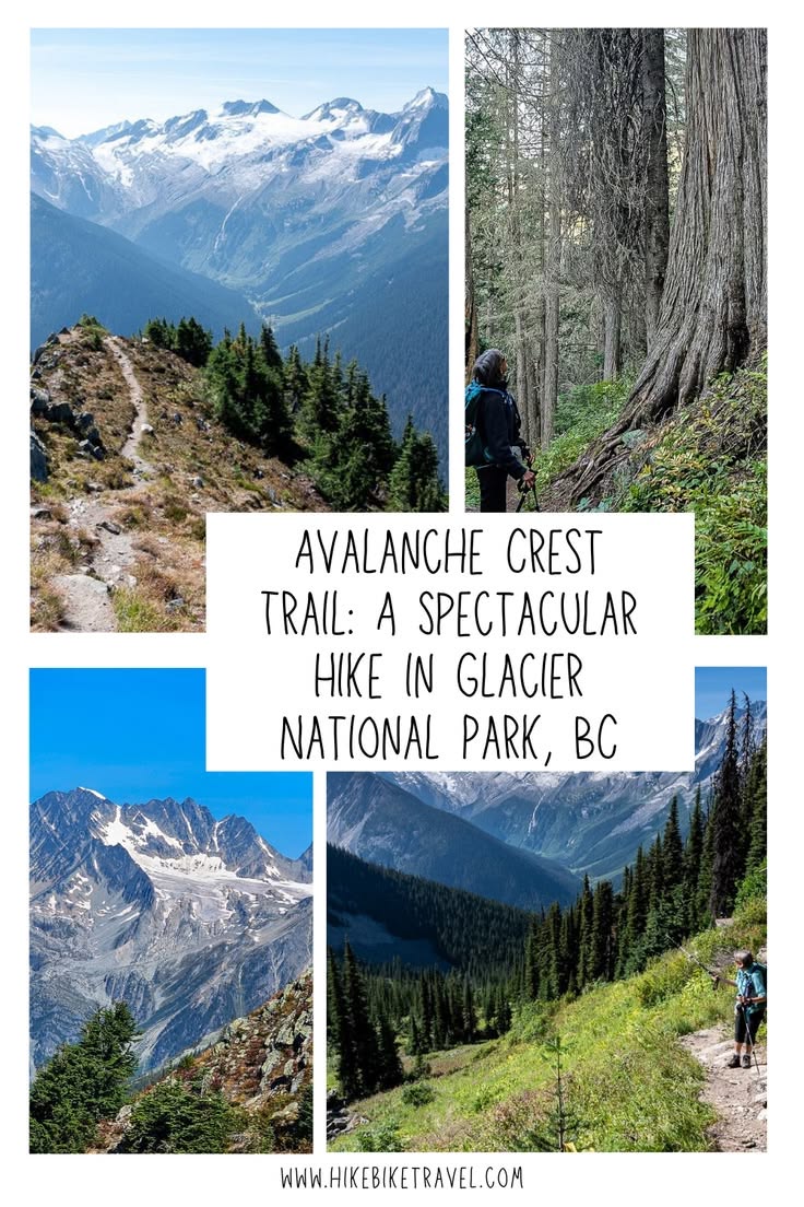 Avalanche Crest Trail: A Spectacular Steep Hike in Glacier N