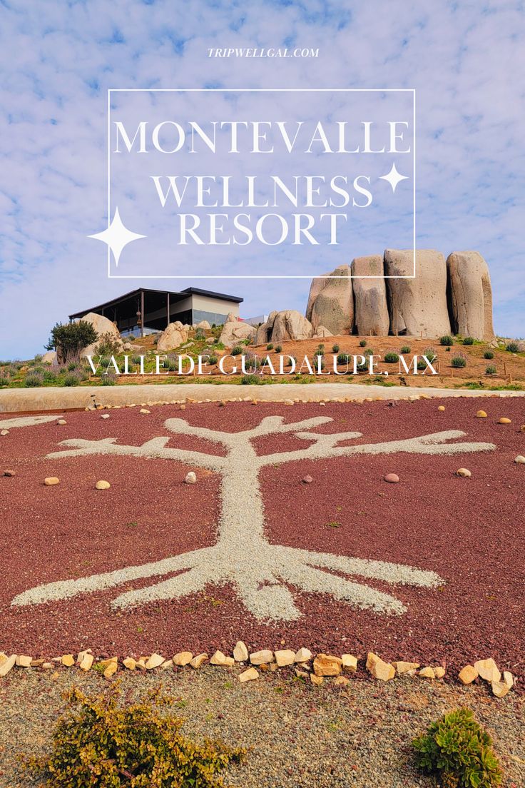 Enjoy a road trip with friends to the Montevalle Wellness Re