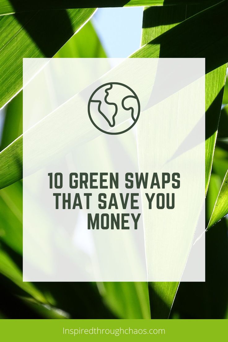 Looking to go green, but don't want to break the bank? Check