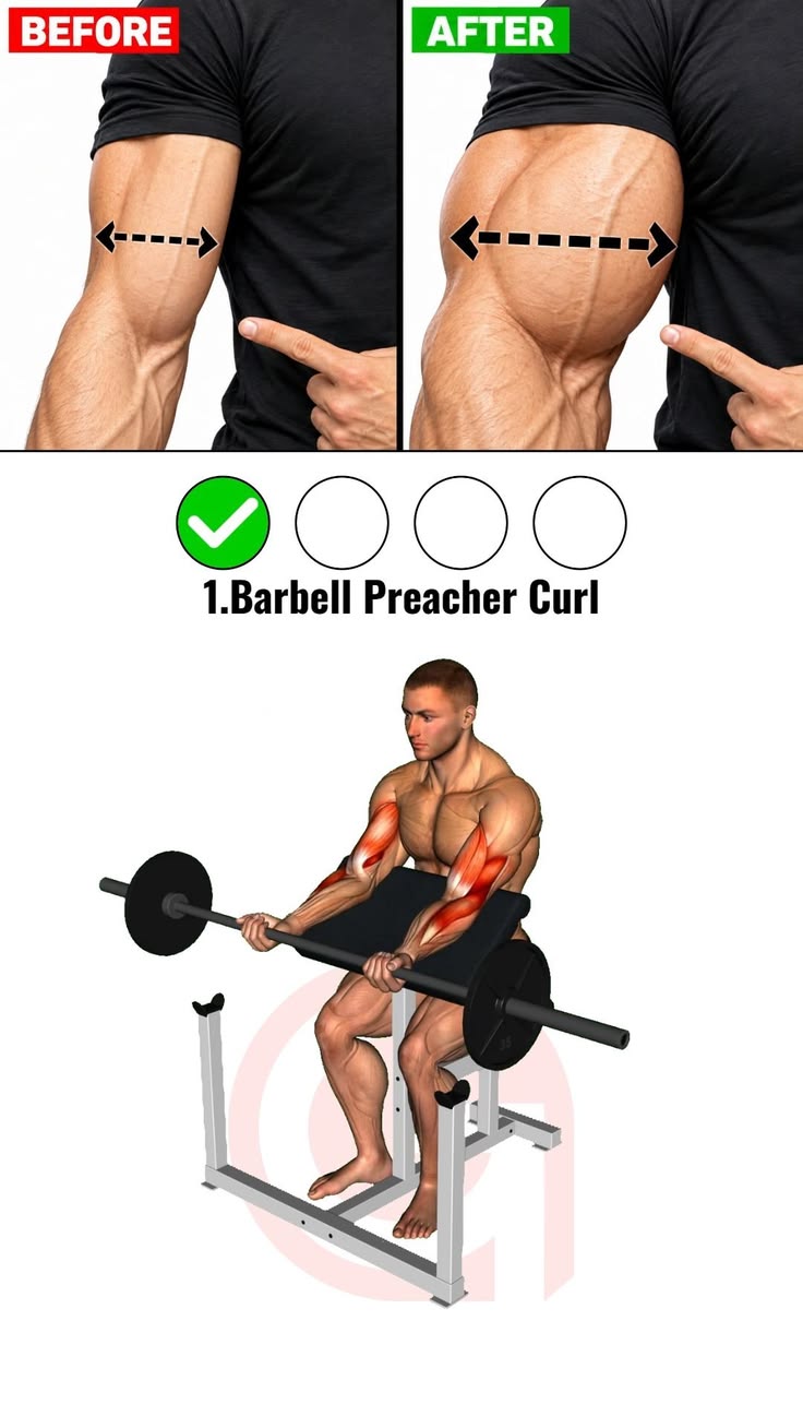 biceps workout