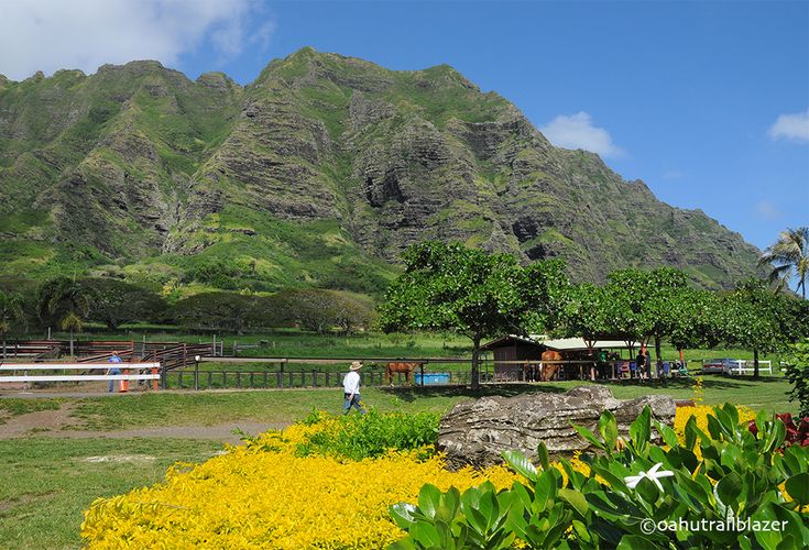 If you like riding horses, Oahu is the place. Find this ranc