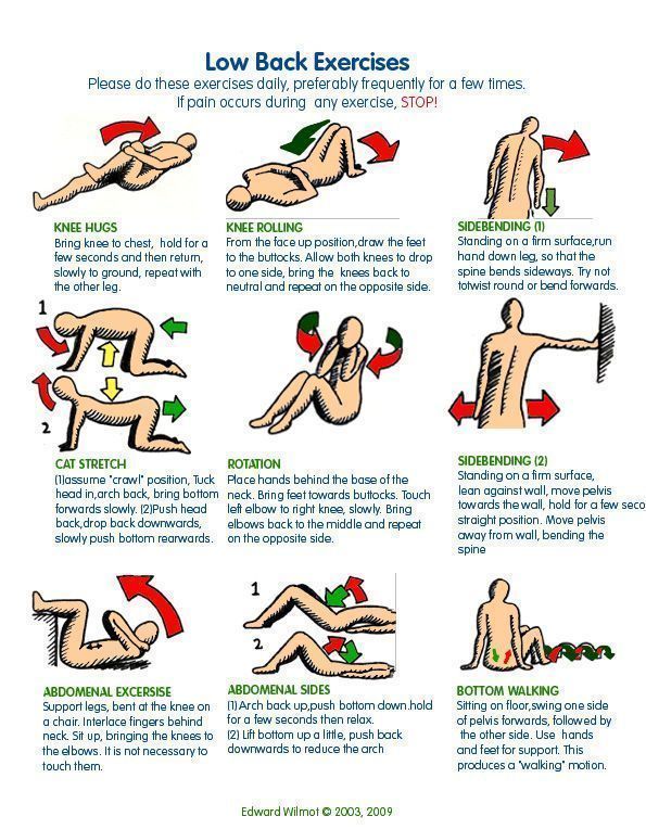 If You're In Pain, START HERE. 10 Exercises for Back and Hip