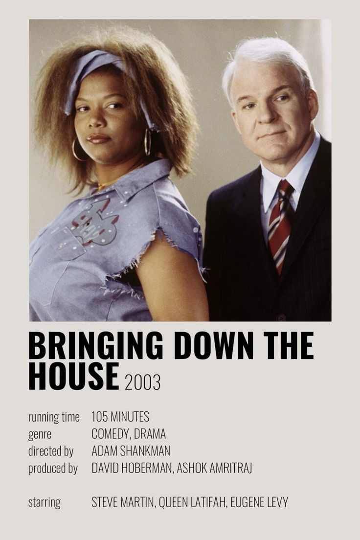 Minimalistic, aesthetic Bringing Down the House movie poster