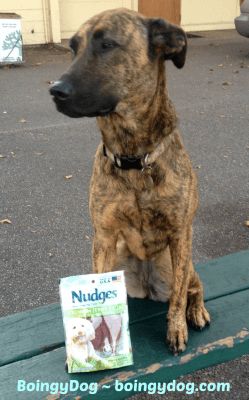 #NudgesMoments safe jerky treats for dogs. Made in the USA!